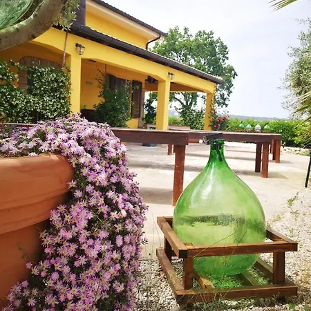 Appartamento La Dolce Vallata Montefiore dellʼAso